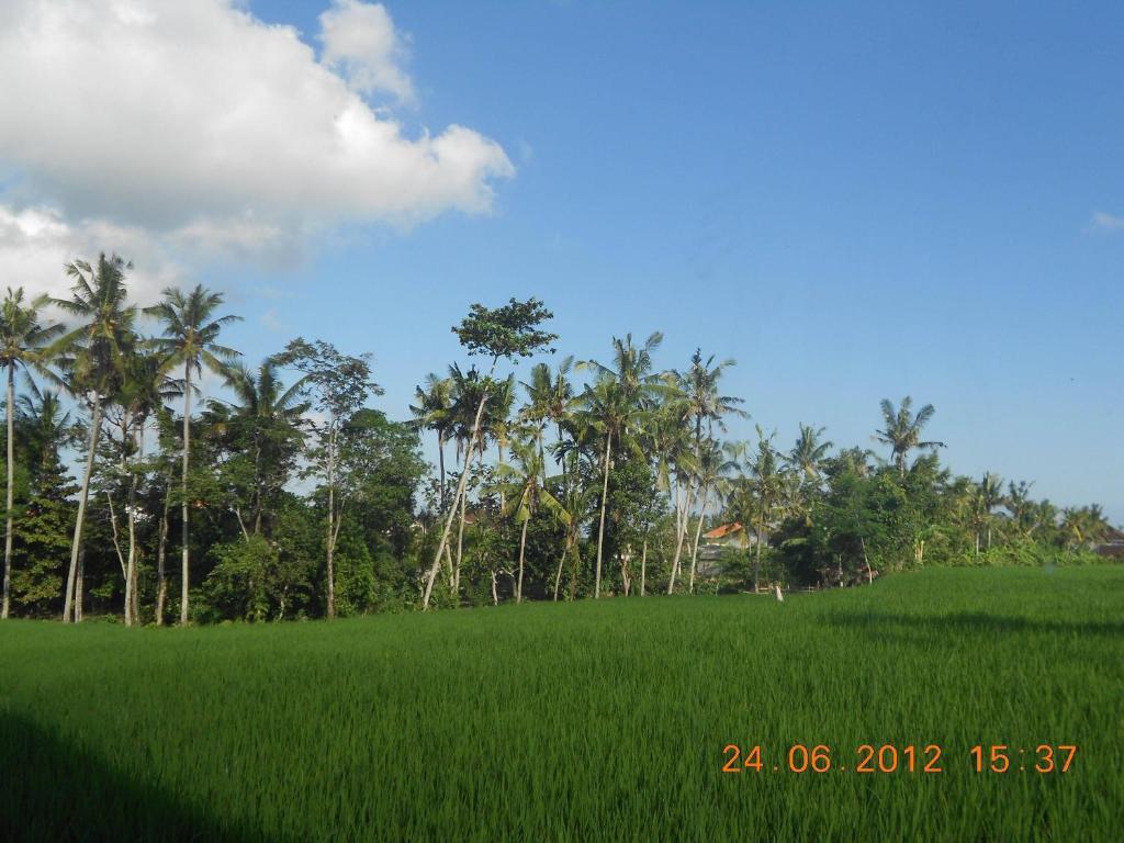 Villa Jasmine B&B Ubud Szoba fotó
