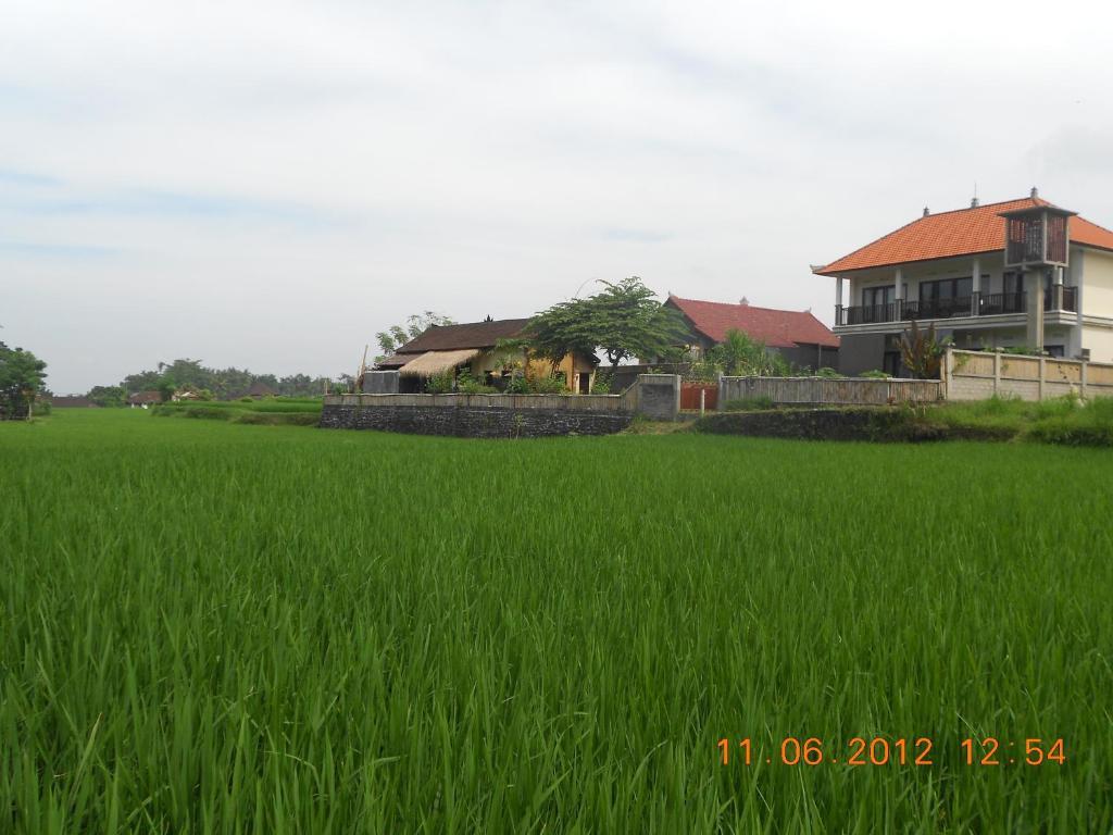 Villa Jasmine B&B Ubud Kültér fotó