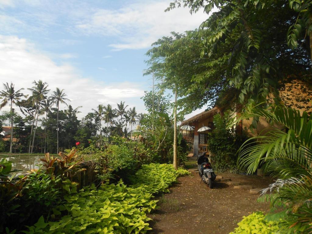 Villa Jasmine B&B Ubud Kültér fotó